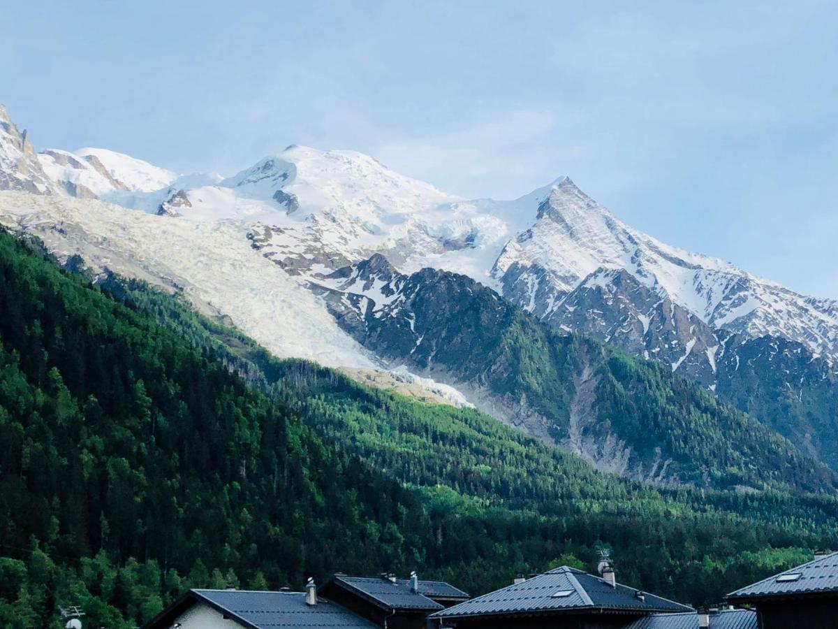 شقة Mont Blanc 43, Vue Mont Blanc , Balcon, Parking شامونكس المظهر الخارجي الصورة